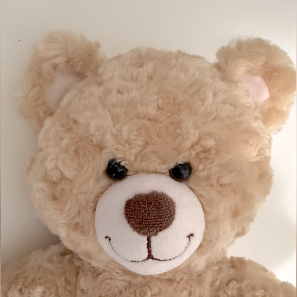 Build-A-Bear Tan and White Stuffed Animal - Picture 9 of 11